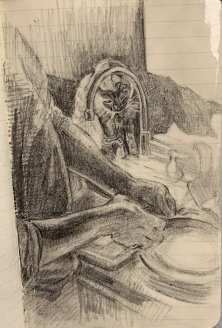 Pencil sketchbook drawing of a cat peering through a kitchen faucet at someone washing dishes